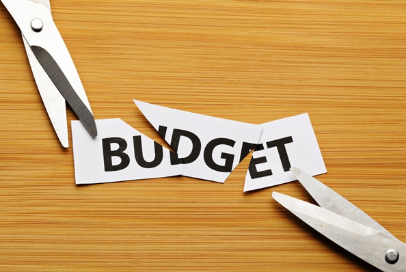 Union Budget 2019 Quote - MoneyTap & Vivriti Capital(NBFC)