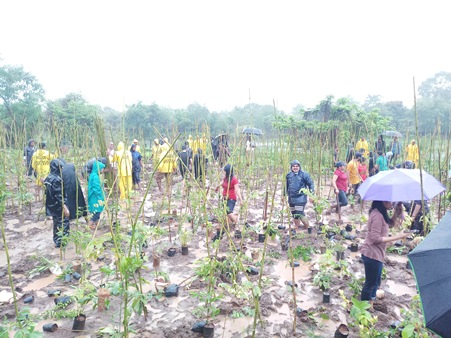 Amidst heavy rain, Ness Digital Engineering Conducts Afforestation Drive