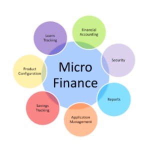 MFIN Micrometer Q3 FY 20 Report