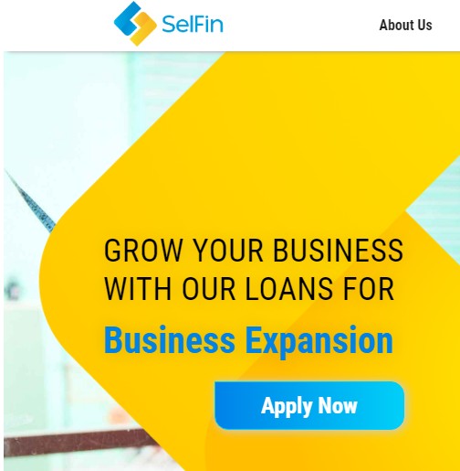 SelFin India Financial Services Pvt. Ltd