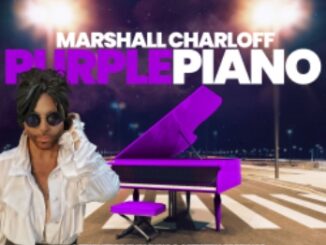 The Purple Piano Celebrates the Music and Artistry of Prince in New One-Man Vegas Show