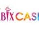 Ebixcash announces appointment of eminent career banker - sunil srivastav to its board of directors