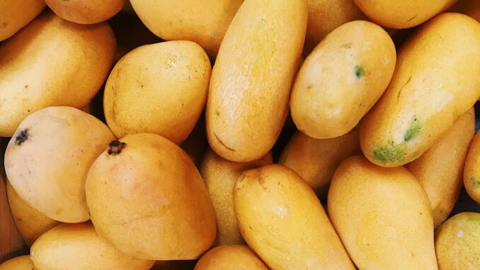 Vedanta promotes fruit farming in Karnataka through 'Wadi' Model'