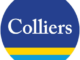 Investment Inflows in Indian Realty Touch USD3.6 Bn During Jan-sept 2022, Up 18 percent: Colliers