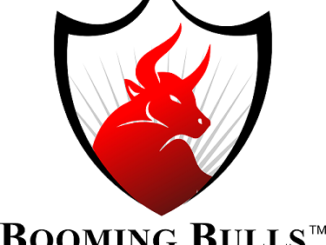 Booming Bulls Logo - 02 (1)
