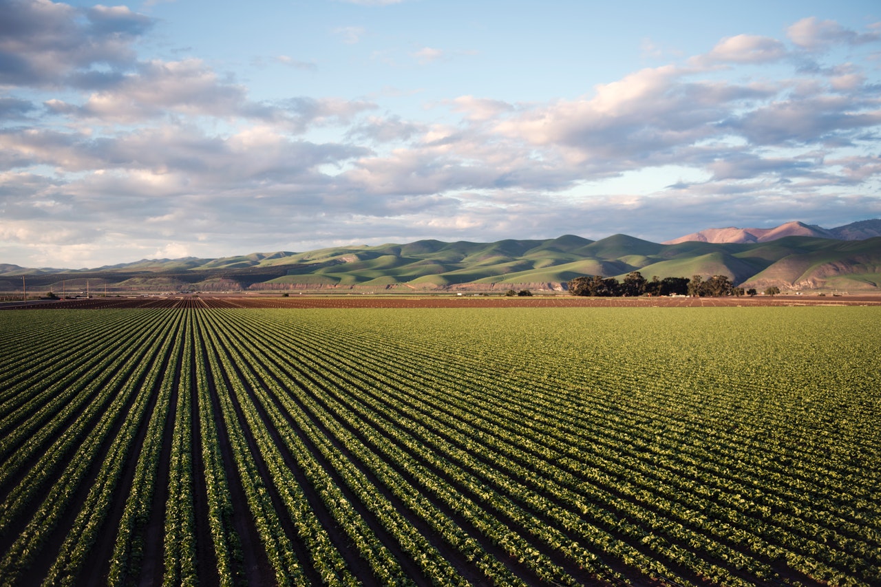 Business Ideas About Agriculture