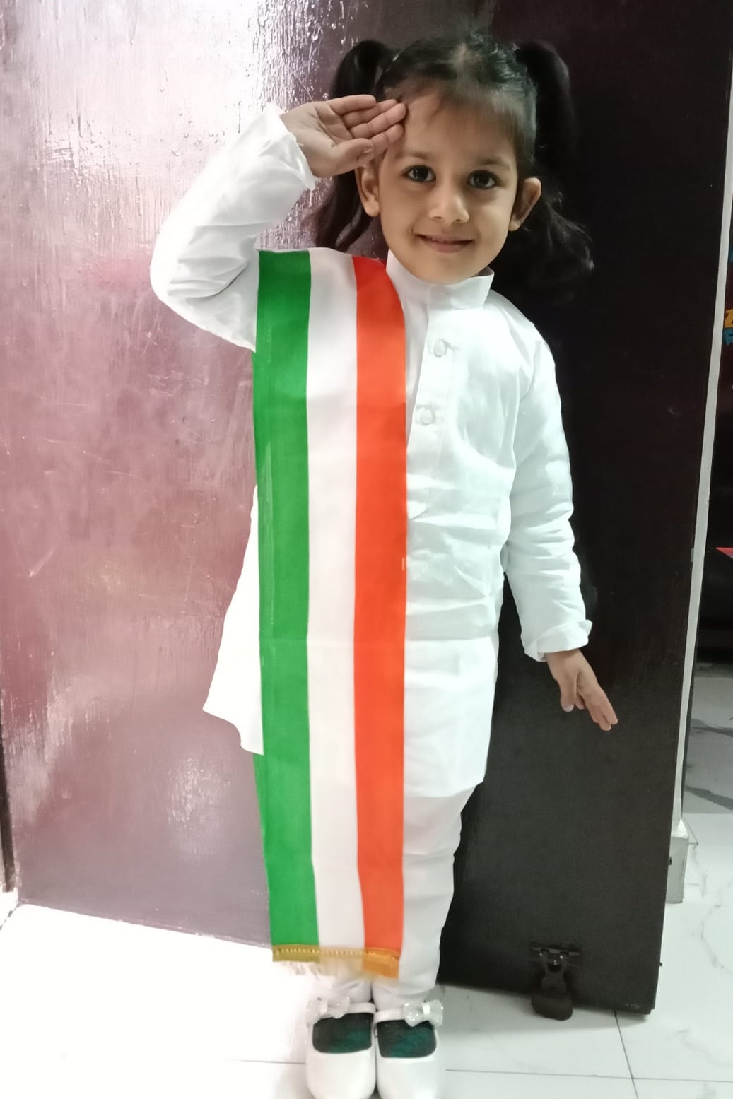 Mother India Saree Fancy Dress Costume | Fancy dress competition, Fancy  dress costumes, Fancy dress