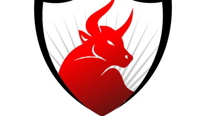 Booming Bulls Logo - 02