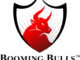 Booming Bulls Logo - 02