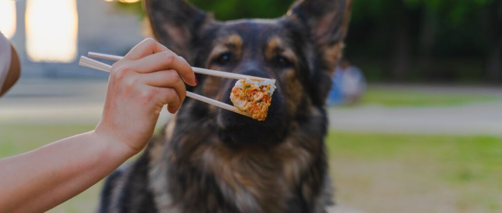 Photo by Utopix Pictures: https://www.pexels.com/photo/food-animal-dog-pet-12266597/