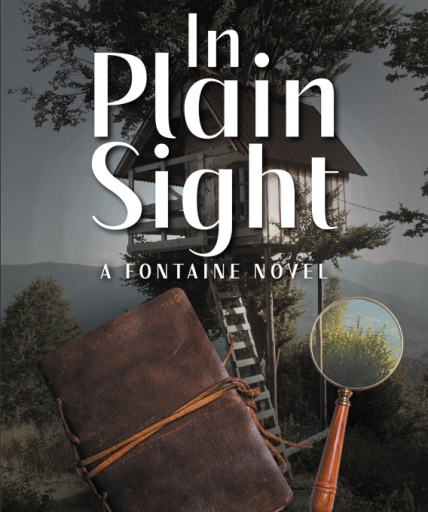 Author Meighan Ammenwerth’s New Book In Plain Sight A Fontaine Novel Volume 1,