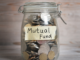 Navigating Growth: The Best Large Cap Mutual Fund to Invest in for the Next 5 Years