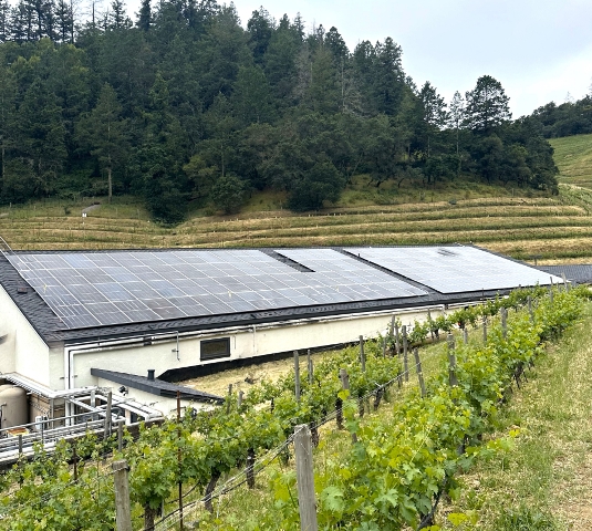 SolarCraft Powers Up Pine Ridge Vineyards with a New Solar Installation