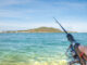 Deep Sea Fishing Punta Cana Is Where the Massive Mahi Mahi Are Caught