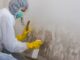 Mold Remediation: How to Remove Mold Safely