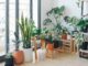 How to Improve Your Garden
