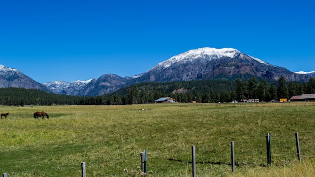 pexels-terry-agar-3645268-7119695 How to Run a Small Farming Business in Lone Tree, Colorado