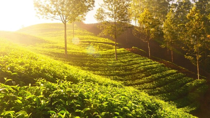 top 10 places to visit in monsoon in India top 10 places to visit in monsoon in India