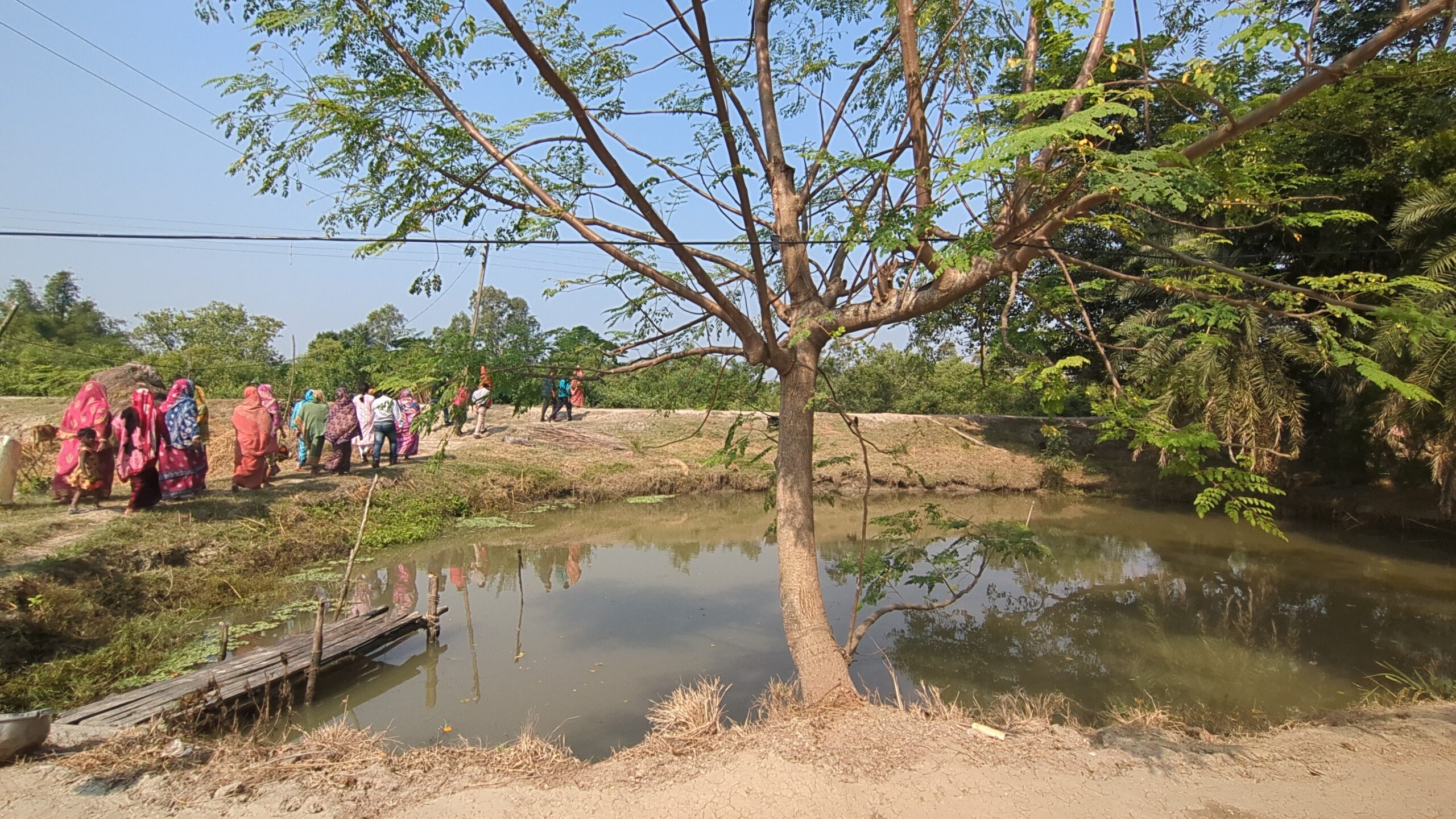 Sanghamitra Mishra Rejuvenated pond