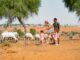 Ritz Carlton Ras Al