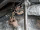 water damage, licensed plumbers