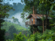 Wellness and Eco Journeys