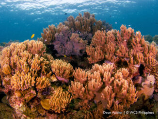 Bitaug Marine Protected Area