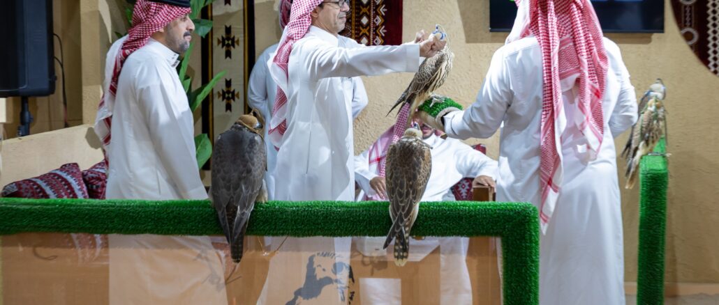 International Falcon Auction International Falcon Auction