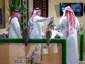 International Falcon Auction