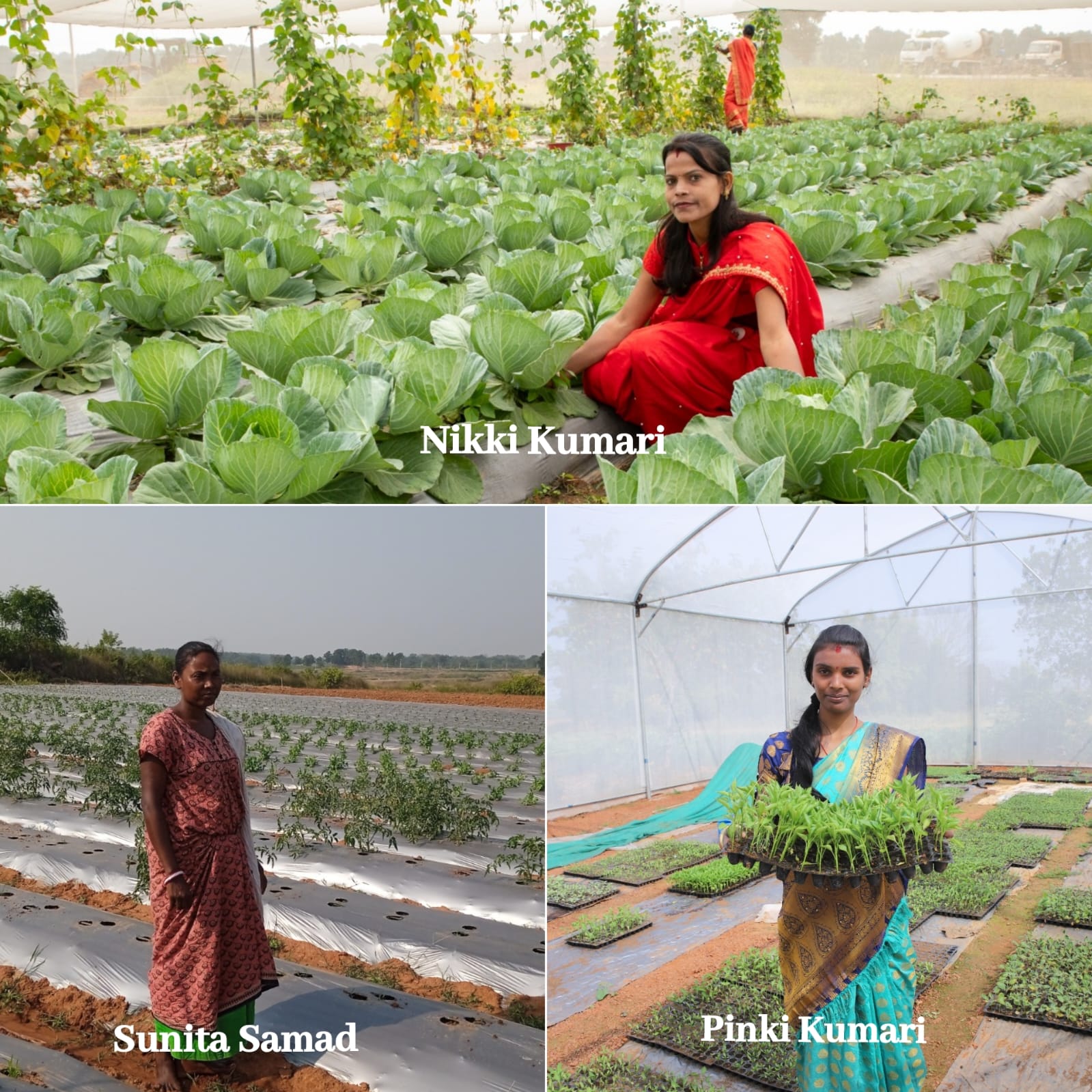 From Knowledge to Growth How Rural Women Farmers Are Leveraging Information to Transform Agriculture