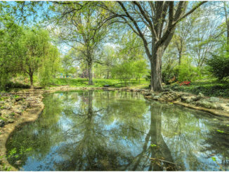 Kasco Pond Fountain