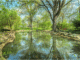 Kasco Pond Fountain
