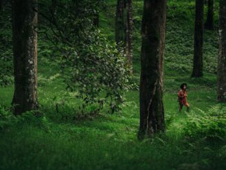 Is Eco-Friendly Travel the Next Big Investment Opportunity in 2025