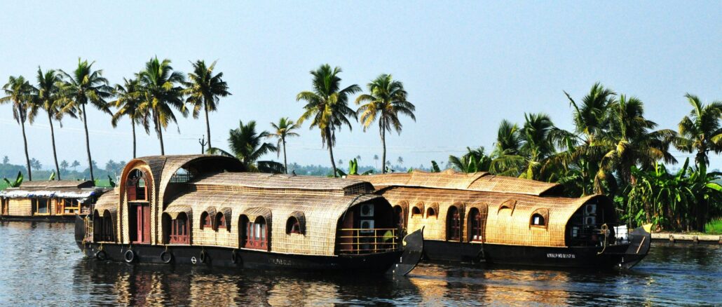 2025 Travel Forecast in India