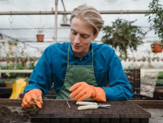 no-dig gardening