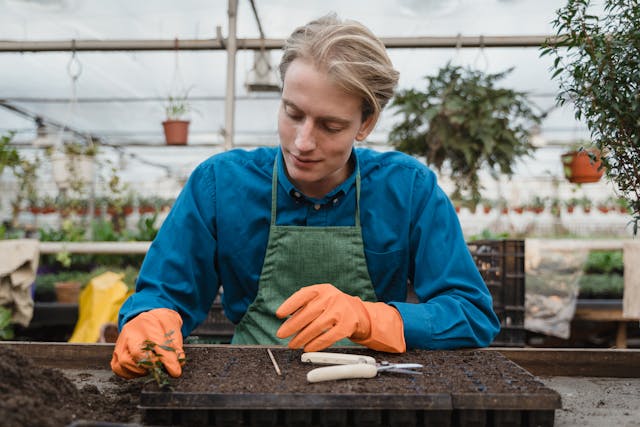 no-dig gardening