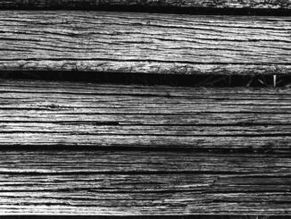 Charred Decking