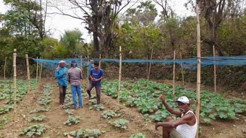 Adani Foundation at ACC Sindri promotes sustainable vegetable farming through micro-irrigation in Samlapur