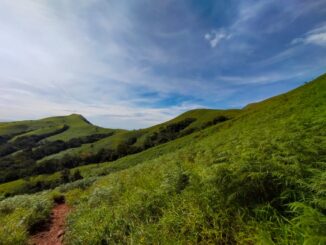 Exploring the Untamed Trails of Kudremukh