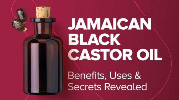 There is hardly an oil in the natural wellness and holistic care world that has gained as much popularity as Jamaican Black Castor Oil (JBCO).