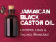 There is hardly an oil in the natural wellness and holistic care world that has gained as much popularity as Jamaican Black Castor Oil (JBCO).