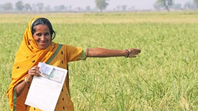 Varaha achieves Asia’s first Enhanced Rock Weathering carbon credit issuance with Puro.earth, marking a global milestone in scalable carbon removal