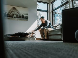 window manufacturers