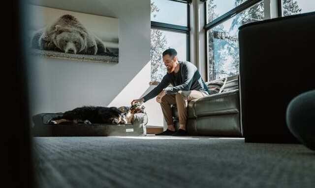 window manufacturers