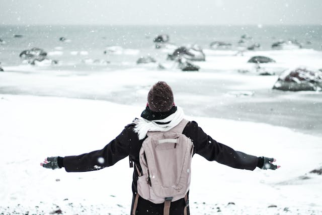 travel travel