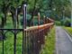 A Look Back at the Growth of Security Fencing Technology