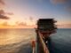 crude oil prices