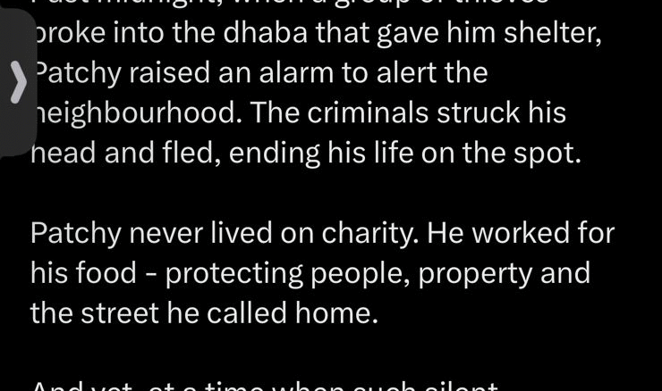 9UsQQwAAAAGSURBVAMAKPOFKvkphO4AAAAASUVORK5CYII=