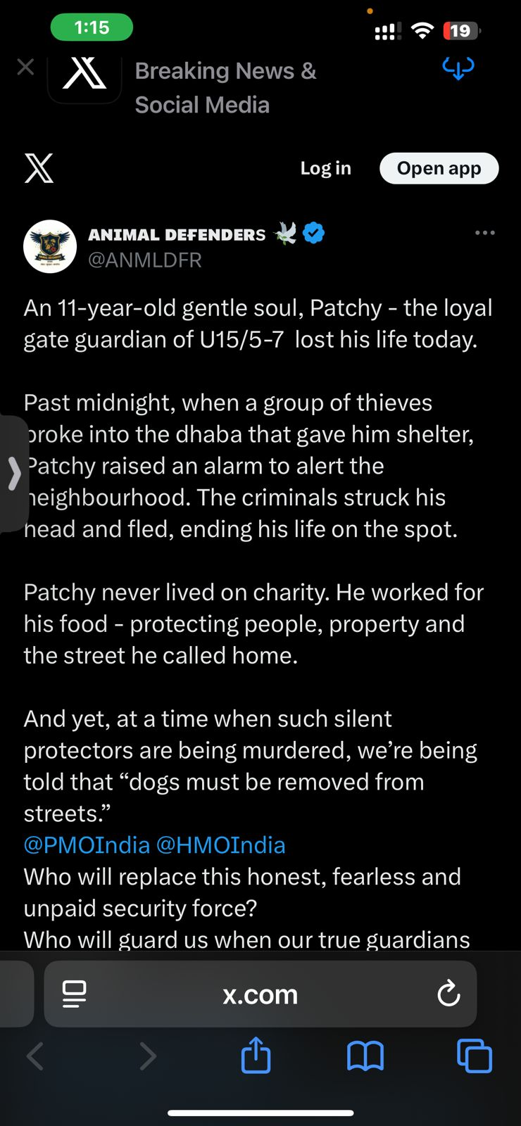 9UsQQwAAAAGSURBVAMAKPOFKvkphO4AAAAASUVORK5CYII=