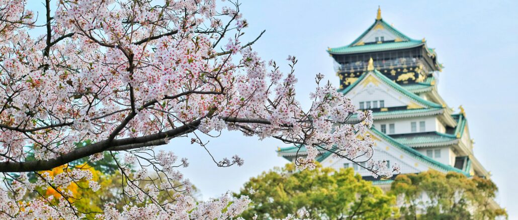 Explore Japan on a Budget: Your Guide to a 5-Day Adventure
